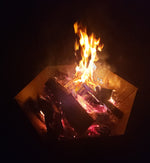 Load image into Gallery viewer, Collapsible Fire Pit - Muskoka Fire Pits
