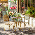 Load image into Gallery viewer, Roanoke Metal Bistro Chair
