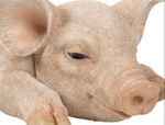 Load image into Gallery viewer, Sleeping Baby Pig Statue - Muskoka Fire Pits
