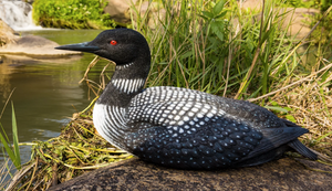 Sitting Loon Statue - Muskoka Fire Pits