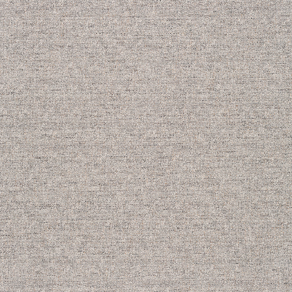SW101-10