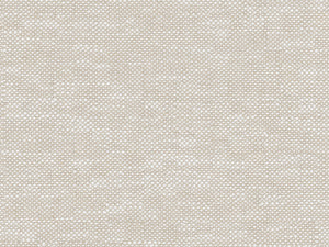 VO100-19