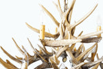 Load image into Gallery viewer, Whitetail Deer 15 Antler Chandelier - Muskoka Fire Pits
