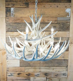Load image into Gallery viewer, Whitetail Deer 15 Antler Chandelier - Muskoka Fire Pits
