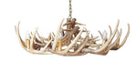 Load image into Gallery viewer, Whitetail Deer 15 Wide Antler Chandelier - Muskoka Fire Pits
