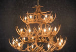 Load image into Gallery viewer, Whitetail Deer 42 Antler Chandelier - Muskoka Fire Pits
