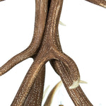 Load image into Gallery viewer, Elk 6 Antler Chandelier - Muskoka Fire Pits
