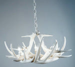 Load image into Gallery viewer, Whitetail Deer 6 Antler Chandelier
