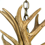 Load image into Gallery viewer, Whitetail Deer 9 Antler Chandelier - Muskoka Fire Pits
