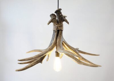 Mule Deer 3 Antler Chandelier