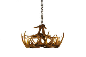 Whitetail Deer 12 Antler Chandelier