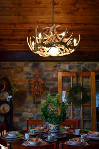 Whitetail Deer 12 Antler Chandelier