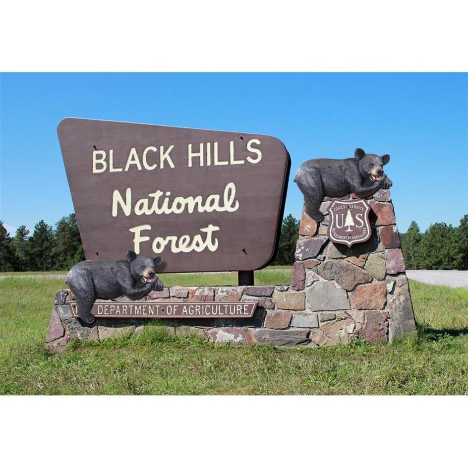 Overhang Black Bear Statue