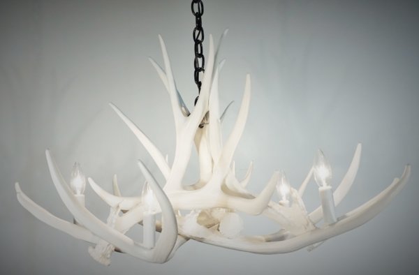 Mule Deer 6 Antler Chandelier