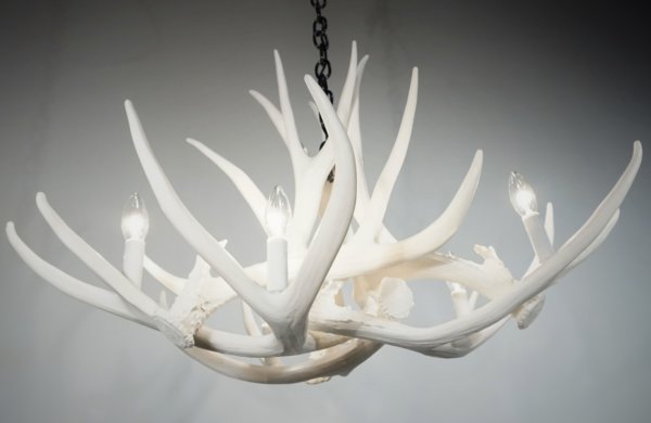 Mule Deer 6 Antler Chandelier