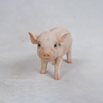 Load image into Gallery viewer, Outdoor Piglet Statue
