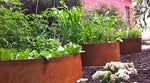 Load image into Gallery viewer, Planter- Rusty Steel - Muskoka Fire Pits
