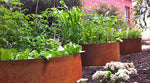 Load image into Gallery viewer, Planter- Rusty Steel
